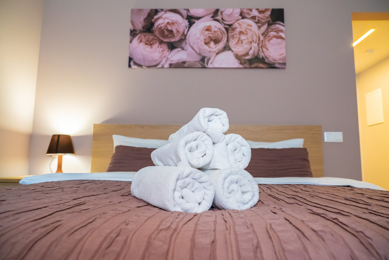 Гостиница Centeral Москва-52