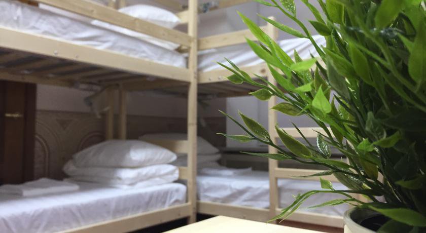 Гостиница Centeral Hostel Moscow Москва-18