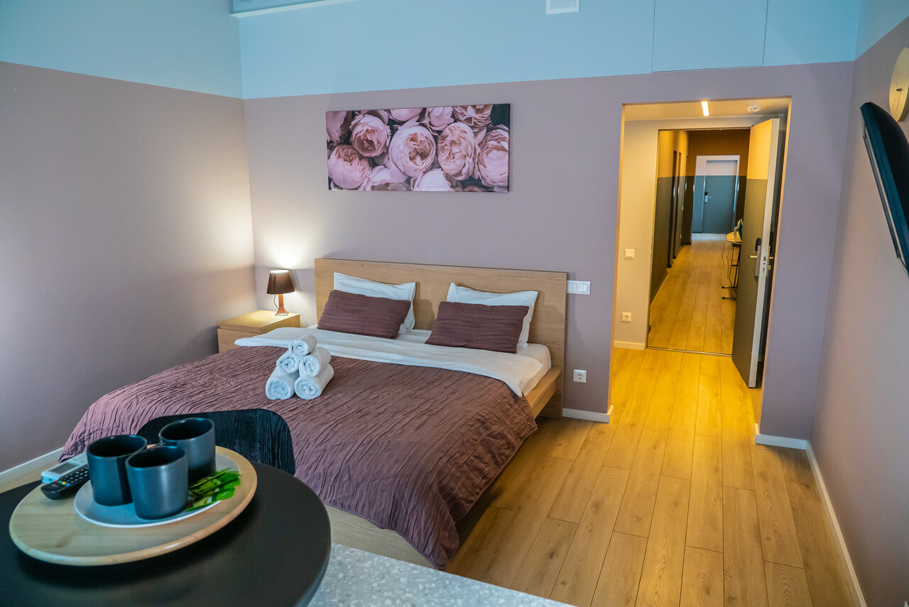 Гостиница Centeral Москва-33