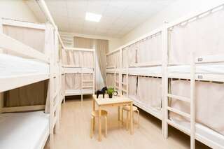 Гостиница Centeral Москва Верхнее место в 12-Местном Общем Номере / Upper Bed in 12-Bed Dorm Room-1