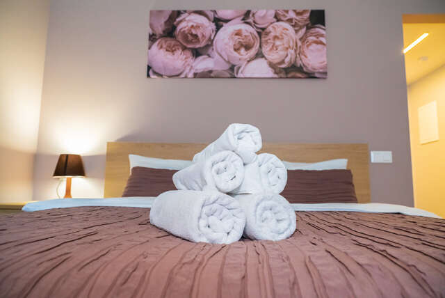 Гостиница Centeral Москва-51